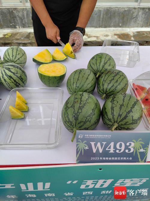 海南今日日本瓜价格,新鲜直供，品质优价实惠