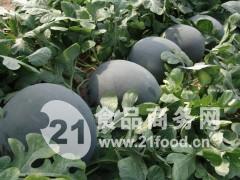 昌乐黄皮瓜今日价格行情,涨跌波动，市场动态一览