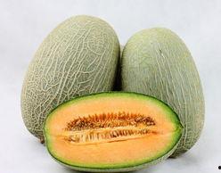 吐鲁番哈密瓜今日行情,甜蜜上市，价格稳中有升”