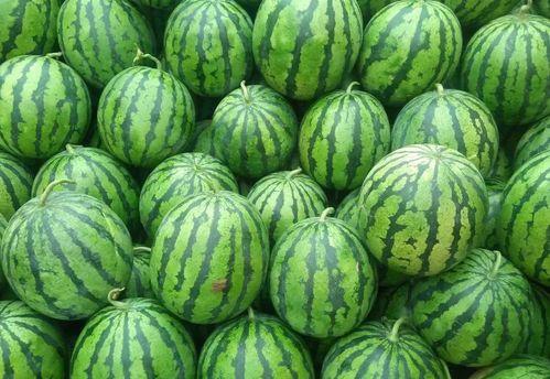 今日吃瓜热门大瓜每日更新吃瓜网,吃瓜网带你领略娱乐圈风云变幻