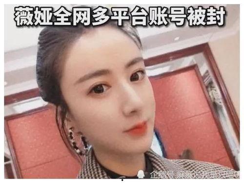 明星网红同款过亿,过亿爆款背后的秘密解析