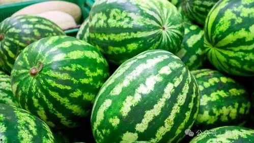 恩施今日什么瓜,神秘事件引发全民猜测，真相即将揭晓！