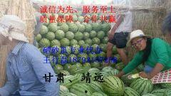 石巴瓜今日价,市场行情一览”