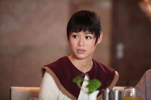 演员媒体明星网红有哪些,揭秘当红演员、媒体明星与网红的闪耀时刻