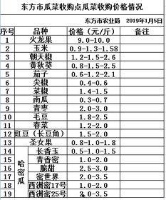 今日瓜菜行情分析最新,涨跌波动背后的趋势洞察
