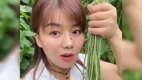 菏泽撞脸明星网红事件,揭秘网络红人“明星脸”现象