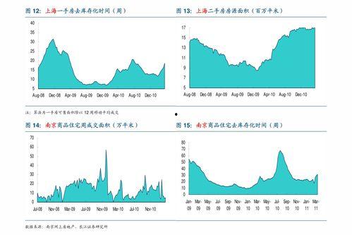 今日蛇瓜价格走势预测,洞察市场趋势，把握投资良机